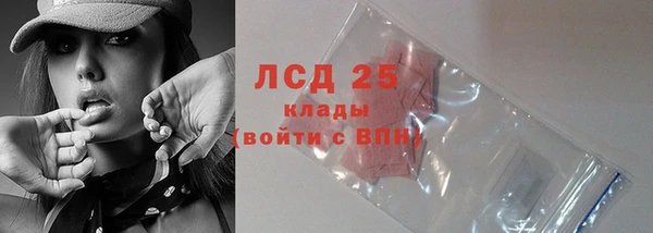 эйфоретик Кукмор
