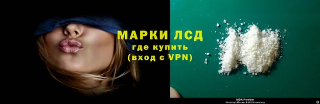 эйфоретик Кукмор