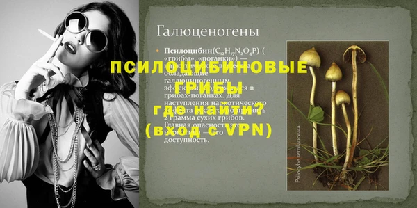 эйфоретик Кукмор