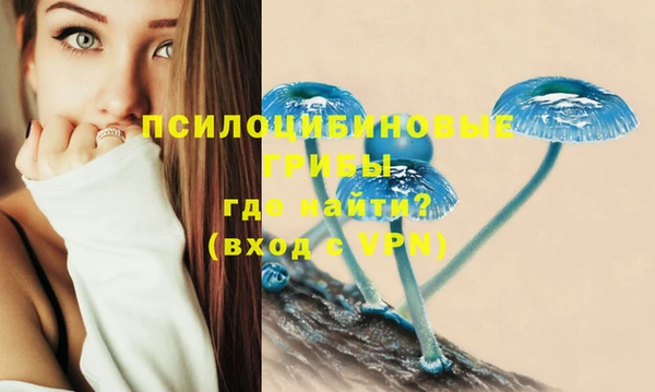 MDMA Куйбышев
