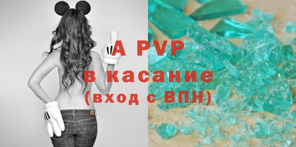 эйфоретик Кукмор