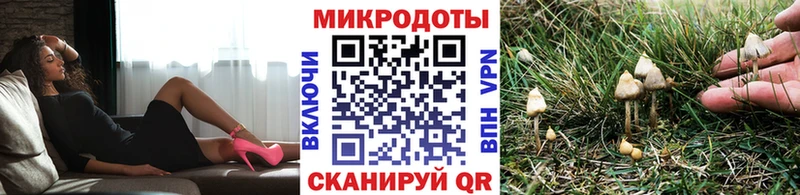 Галлюциногенные грибы мицелий  Купить где  Новый Уренгой 